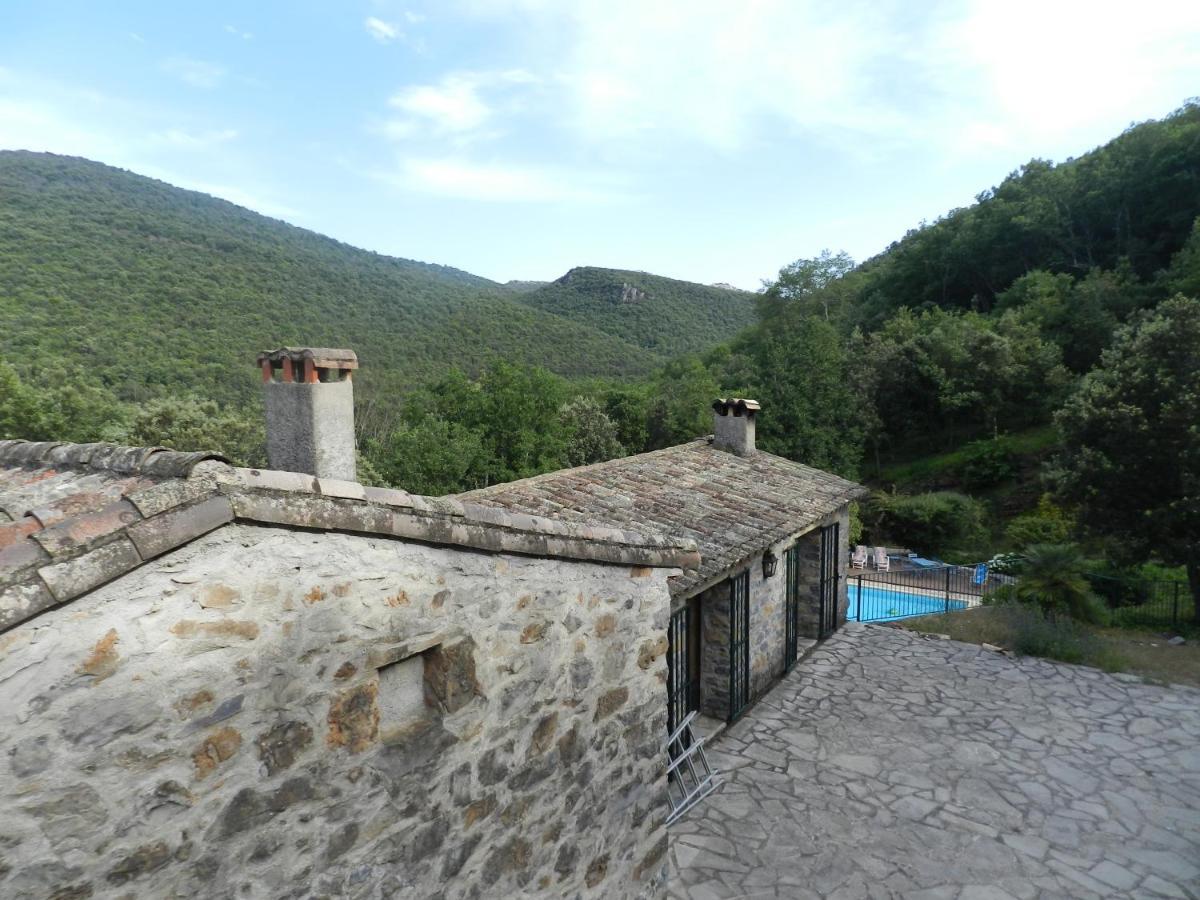 Chambre Cévennes: Piscine, lamas, rivière Cros  Esterno foto