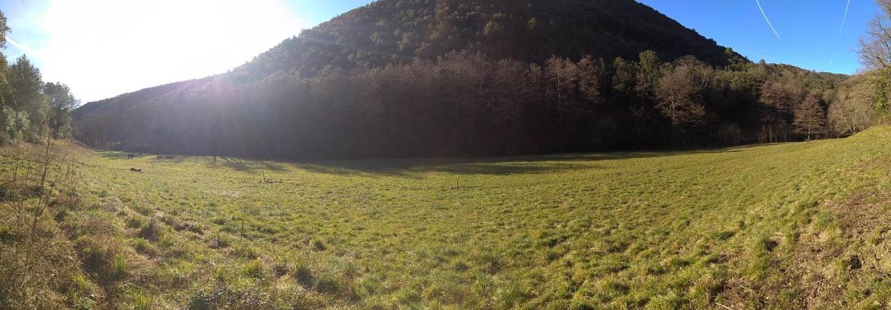 Chambre Cévennes: Piscine, lamas, rivière Cros  Esterno foto