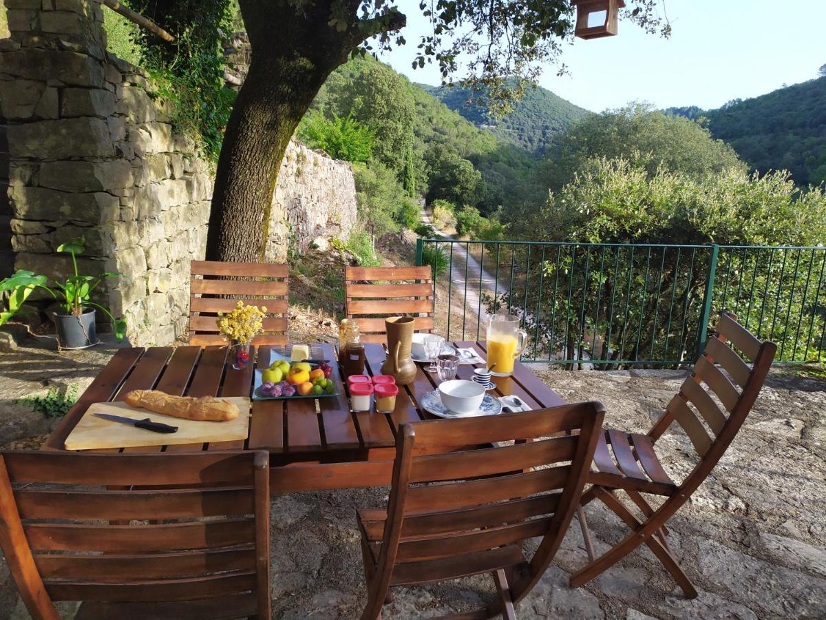 Chambre Cévennes: Piscine, lamas, rivière Cros  Esterno foto