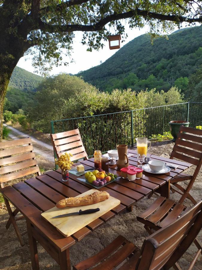 Chambre Cévennes: Piscine, lamas, rivière Cros  Esterno foto